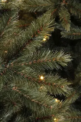 Triumph Tree Forest frosted verlichte kunstkerstboom blauwgroen 185cm - 224 lampjes - afbeelding 3