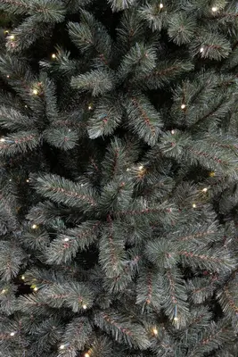 Triumph Tree Forest frosted verlichte kunstkerstboom blauwgroen 215cm - 304 lampjes - afbeelding 4