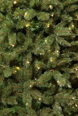 Triumph Tree Forest frosted verlichte kunstkerstboom groen 215cm - 304 lampjes - afbeelding 2