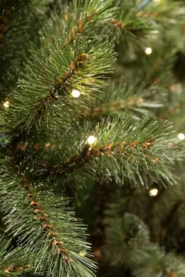 Triumph Tree Forest frosted verlichte kunstkerstboom groen 215cm - 304 lampjes - afbeelding 3