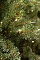 Triumph Tree Forest frosted verlichte kunstkerstboom groen 215cm - 304 lampjes - afbeelding 3