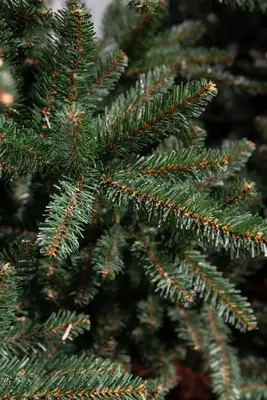 Triumph Tree Matterhorn kunstkerstboom groen 230cm - afbeelding 2
