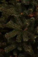 Triumph Tree Monaro kunstkerstboom blauwgroen 230cm - afbeelding 3