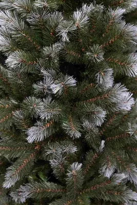 Triumph Tree Pittsburgh kunstkerstboom groen 185cm - afbeelding 2