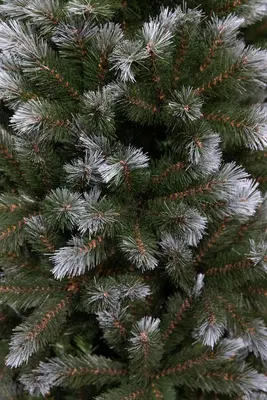 Triumph Tree Pittsburgh kunstkerstboom groen 215cm - afbeelding 2