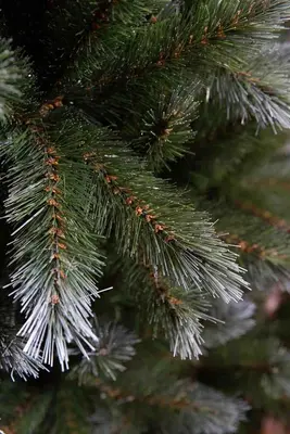 Triumph Tree Pittsburgh kunstkerstboom groen 230cm - afbeelding 3