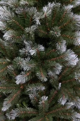 Triumph Tree Pittsburgh kunstkerstboom groen 230cm - afbeelding 2