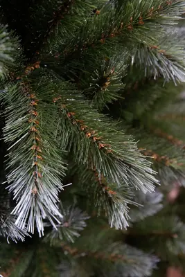 Triumph Tree Pittsburgh kunstkerstboom groen 230cm - afbeelding 3