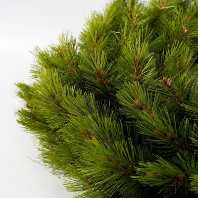 Triumph Tree Richmond kerstkrans groen Ø 60cm - afbeelding 3