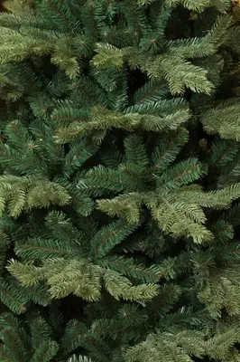 Triumph Tree Sherwood deluxe kunstkerstboom groen 215cm - afbeelding 5