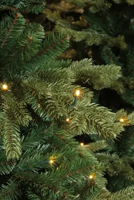 Triumph Tree Sherwood verlichte kunstkerstboom groen 185cm - 200 lampjes - afbeelding 4
