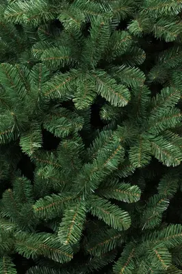 Triumph Tree Tuscan kunstkerstboom groen 230cm - afbeelding 3