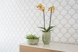TS bloempot Davide 15x20 cm Apple Green - afbeelding 4