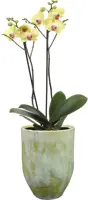 TS bloempot Davide 15x20 cm Apple Green - afbeelding 2