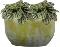TS bloempot Davide 20x12 cm Apple Green - afbeelding 2