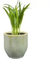TS bloempot Davide 8x8 cm Apple Green - afbeelding 2
