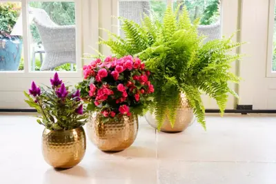 TS Bloempot kody goud 17x15 cm - afbeelding 14