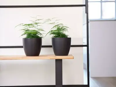 TS bloempot Sven 24x22cm zwart - afbeelding 2