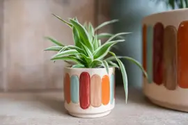 TS Collection bloempot anna keramiek 11x9cm striped - afbeelding 4