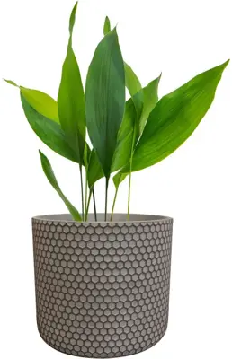 TS Collection bloempot bernt steen 11x11cm shiny zwart - afbeelding 2