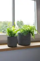 TS Collection bloempot bernt steen 11x11cm shiny zwart - afbeelding 3