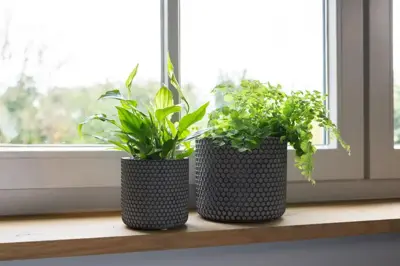 TS Collection bloempot bernt steen 19x16cm shiny black - afbeelding 3