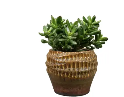TS Collection bloempot deb keramiek 13x11cm savanne - afbeelding 2