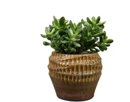 TS Collection bloempot deb keramiek 13x11cm savanne - afbeelding 2