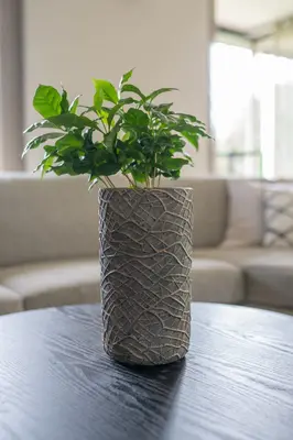 TS Collection bloempot denzel cement, steen 13x24cm shiny concrete - afbeelding 2