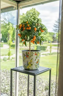 TS Collection bloempot designed by lammie metaal 26x23cm sunny citrus - afbeelding 2