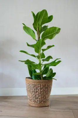 TS Collection bloempot eline textiel 29x29cm coloured - afbeelding 5