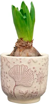 TS Collection bloempot emilia keramiek 8x8cm roze - afbeelding 2