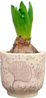 TS Collection bloempot emilia keramiek 8x8cm roze - afbeelding 2