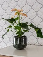 TS Collection bloempot emmie kunststof, metaal 19x17cm mystic green - afbeelding 3