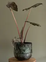 TS Collection bloempot emmie kunststof, metaal 19x17cm mystic green - afbeelding 4
