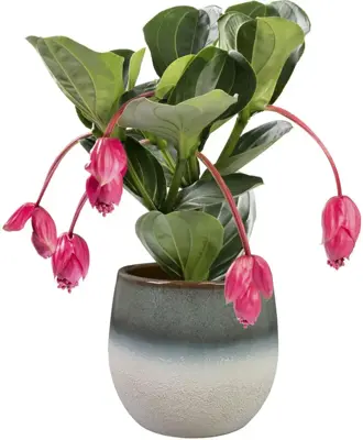 TS Collection bloempot fem keramiek 22x19cm sky blue - afbeelding 2