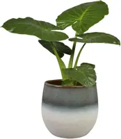 TS Collection bloempot fem keramiek 26x24cm sky blue - afbeelding 2