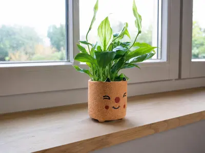 TS Collection bloempot happy steen 8x8cm oranje - afbeelding 2