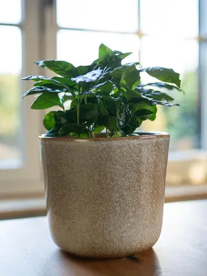 TS Collection bloempot hedy keramiek 11x12cm sand - afbeelding 2