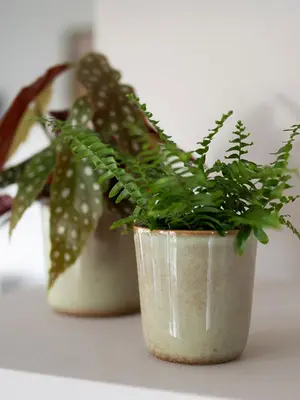 TS Collection bloempot hedy keramiek 11x12cm thyme - afbeelding 2