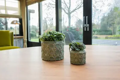 TS Collection bloempot jurre steen 14x11cm groen - afbeelding 3