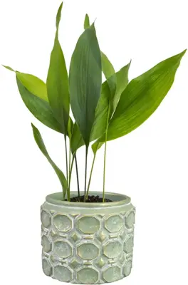 TS Collection bloempot jurre steen 14x11cm groen - afbeelding 2