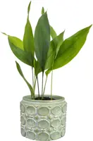 TS Collection bloempot jurre steen 14x11cm groen - afbeelding 2