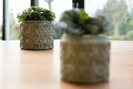 TS Collection bloempot jurre steen 16x13cm groen - afbeelding 3
