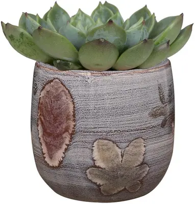 TS Collection bloempot  keramiek 12x12cm autumn - afbeelding 2