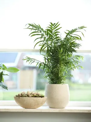 TS Collection bloempot  keramiek 15x13cm shiny sand - afbeelding 4