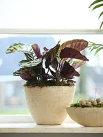 TS Collection bloempot  keramiek 15x13cm shiny sand - afbeelding 9