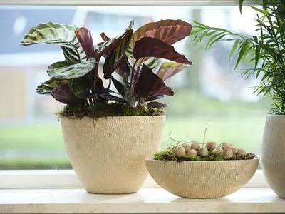 TS Collection bloempot  keramiek 15x13cm shiny sand - afbeelding 8