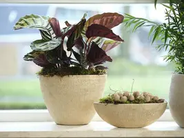 TS Collection bloempot  keramiek 15x13cm shiny sand - afbeelding 8