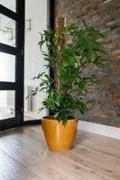 TS Collection bloempot  keramiek 24x22cm mosterd - afbeelding 3